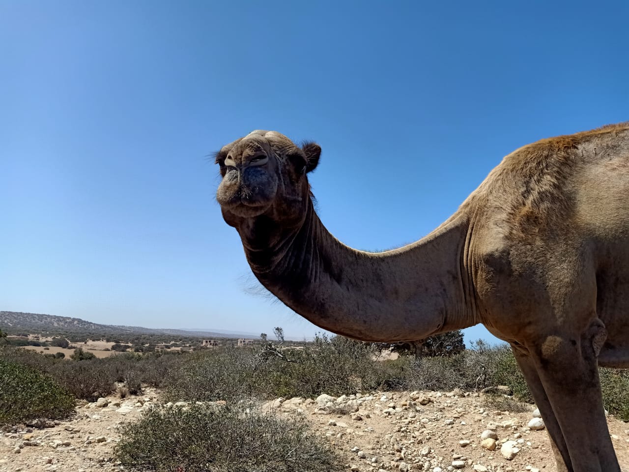 Taxi Marrakech Agadir